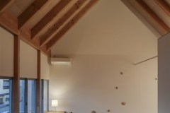 s-030-TAH08858-Edit-ToLoLo